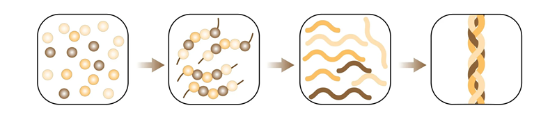 collagen explained diagram